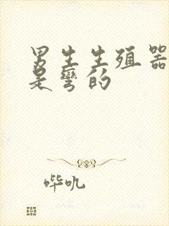 男生生殖器勃起是弯的