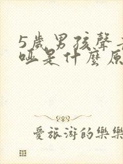 5岁男孩声音嘶哑是什么原因