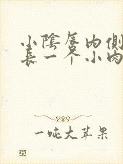 小阴唇内侧皮肤长一个小肉粒