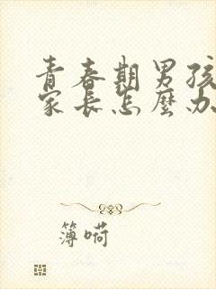 青春期男孩叛逆家长怎么办封面