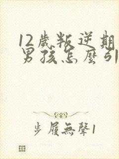 12岁叛逆期的男孩怎么引导