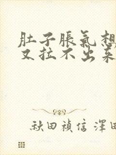 肚子胀气想大便又拉不出来吃什么药