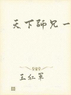 天下师兄一般黑封面