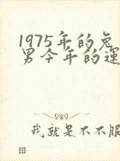 1975年的兔男今年的运势