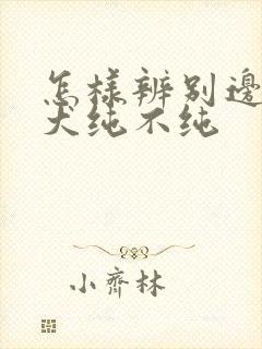 怎样辨别边牧幼犬纯不纯