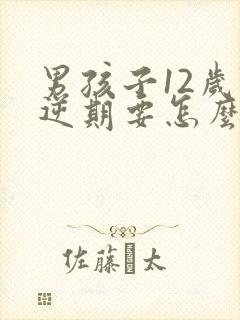 男孩子12岁叛逆期要怎么管教