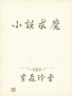 小说求魔封面