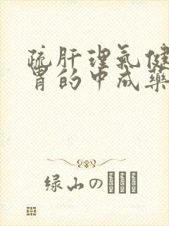 疏肝理气健脾和胃的中成药