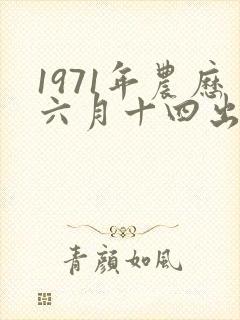 1971年农历六月十四出生的人的命运