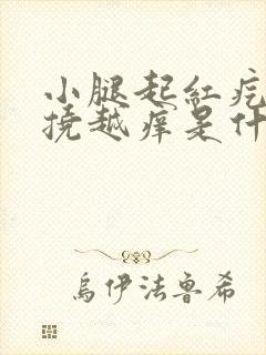 小腿起红疙瘩越挠越痒是什么病