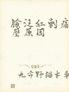 脸泛红刺痛痒什么原因