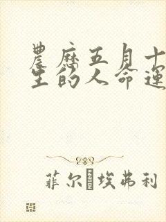 农历五月十七出生的人命运