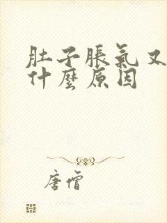 肚子胀气又反胃什么原因