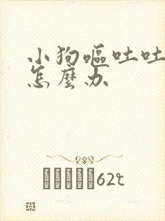 小狗呕吐吐黄水怎么办