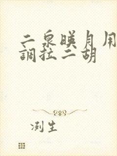 二泉映月用什么调拉二胡