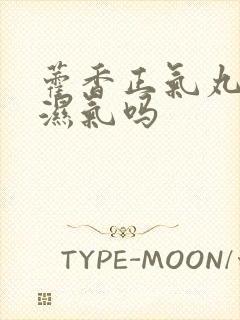 藿香正气丸能排湿气吗