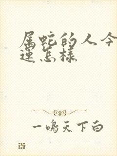 属蛇的人今天财运怎样