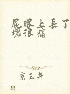 屁眼上长了个硬块很痛封面