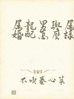 属龙男与属猴女婚配怎么样封面