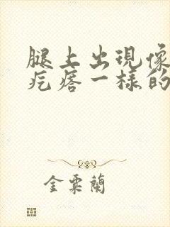 腿上出现像鸡皮疙瘩一样的红点