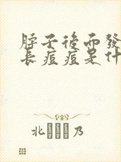 脖子后面发根处长痘痘是什么原因