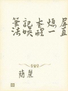 笔记本熄屏后无法唤醒一直黑屏