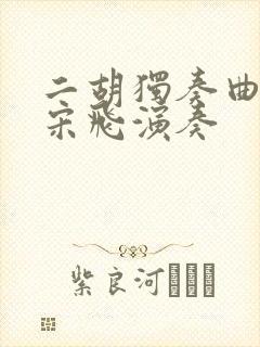 二胡独奏曲良宵宋飞演奏封面