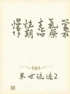 慢性支气管炎发作期治疗最主要的措施封面