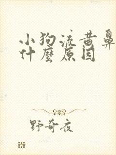 小狗流黄鼻涕是什么原因