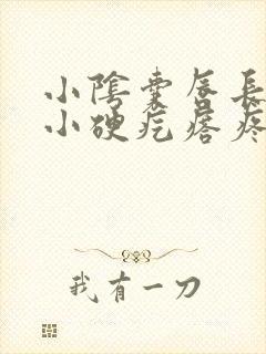 小阴囊唇长了个小硬疙瘩疼