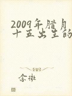 2009年腊月十五出生的男孩命运