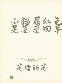 小猫尿红色的尿是怎么回事