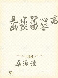 见你开心高情商幽默回答