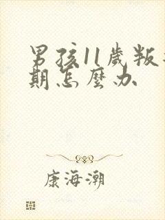 男孩11岁叛逆期怎么办封面