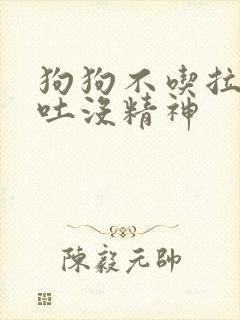 狗狗不吃拉稀呕吐没精神封面