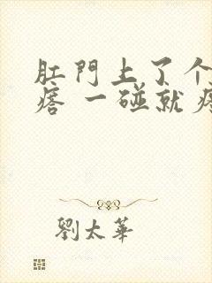 肛门上了个硬疙瘩 一碰就疼