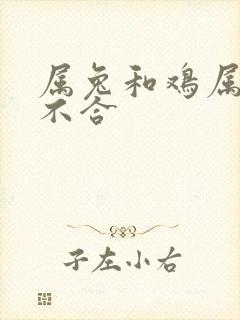 属兔和鸡属相合不合