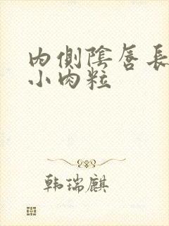 内侧阴唇长了个小肉粒