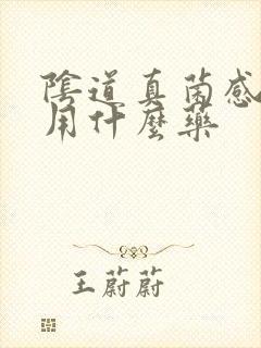 阴道真菌感染要用什么药