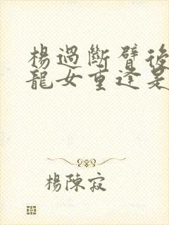 杨过断臂后与小龙女重逢是在哪一集封面