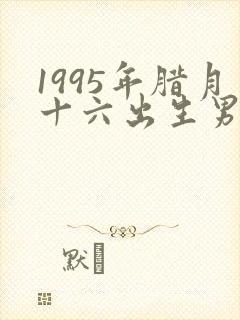 1995年腊月十六出生男孩命运