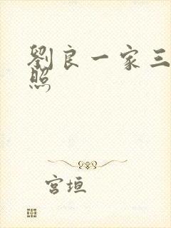 刘良一家三口近照封面