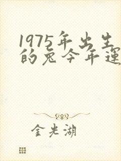 1975年出生的兔今年运气封面