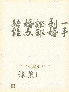 结婚证剩一个了能办离婚手续吗?