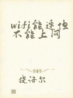 wifi能连但不能上网