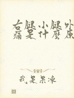 右腿小腿外侧疼痛是什么原因