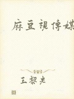 麻豆视传媒短