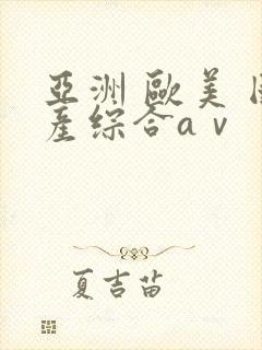 亚洲 欧美 国产综合aⅴ