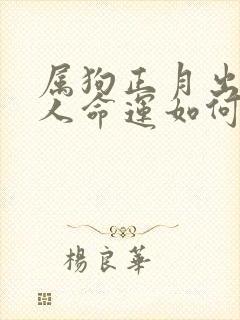 属狗正月出生的人命运如何