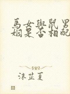 马女与鼠男的婚姻是否相配封面